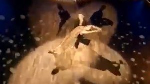 «Танцы со звёздами» Ситтель Мария Бородинов Вячеслав Румба