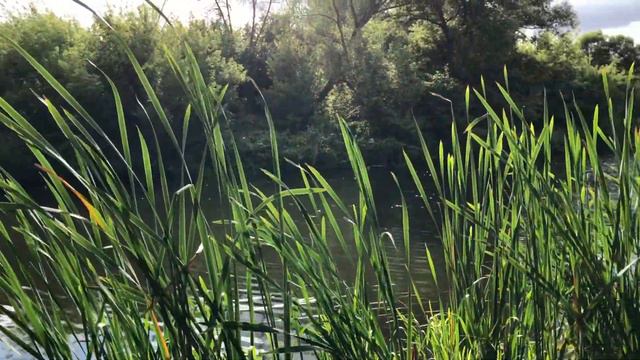 Картина 2. «Солнце внутри» - Teatr жу-жу