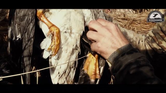 Охота на утку, огромная присада. Осенняя миграция уток. смотреть онлайн