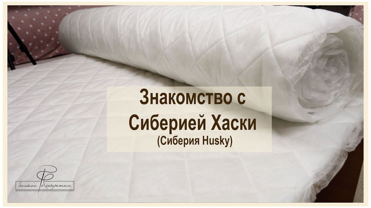 Знакомство с сиберией хаски. Еще один утеплитель нашего ассортимента. смотреть онлайн
