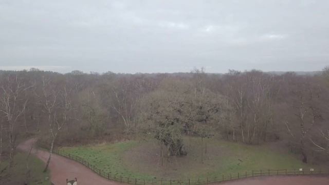 Шервудский лес (Sherwood Forest)