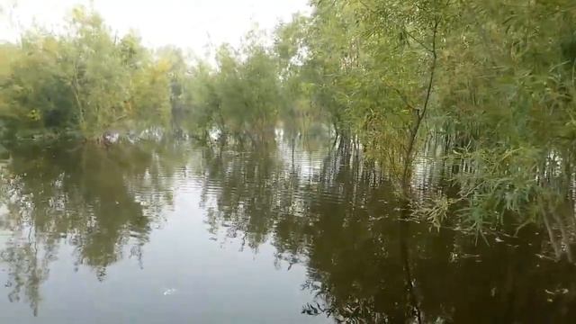 Навигация 2020 года. Краткий обзор. смотреть онлайн