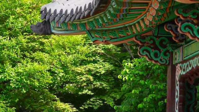 Calm Your Mind and Body with Tranquil Oriental Music and Background #orientalmusic #tranquilsleep смотреть онлайн