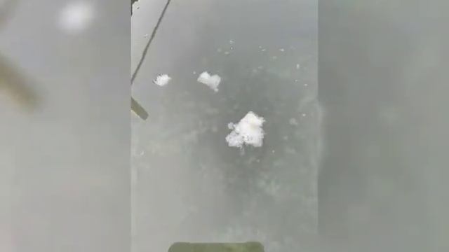 Плотоядный жук смотреть онлайн