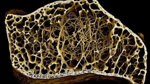 Медь. Польза и действие на организм.