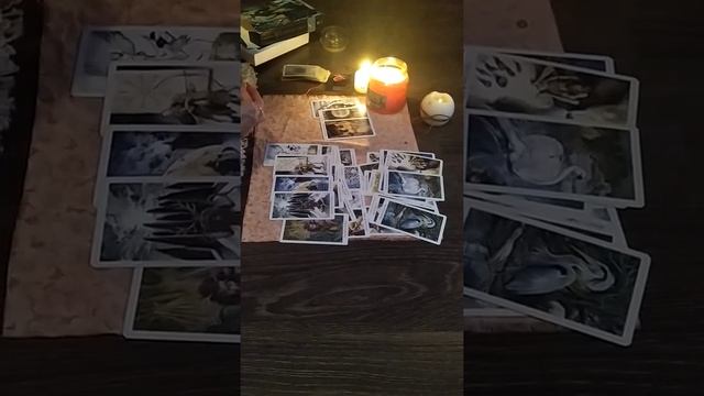 Мужчина. Дорога. Совет карт. Таро Дикого Леса. смотреть онлайн