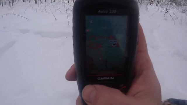 ОХОТА на ЗАЙЦА с РУССКОЙ ГОНЧЕЙ.30декабря.2021-2022 смотреть онлайн