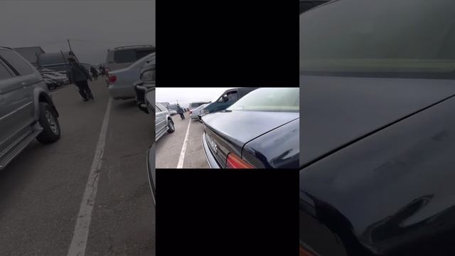 12.05.2023. 2-ші бөлім. Авторынок Алматы! Жақсы жағдайдағы көліктер.#авторынок #алматы#тайота #камр смотреть онлайн