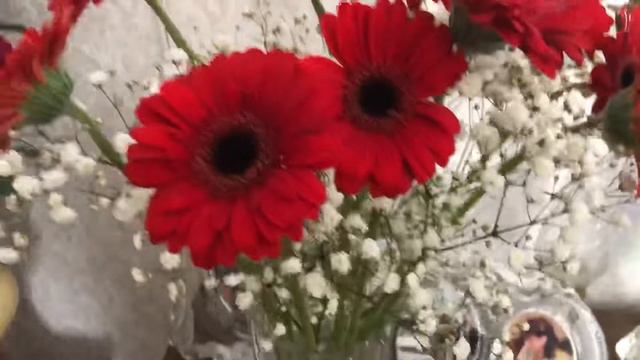 288. С Праздником🌹 смотреть онлайн