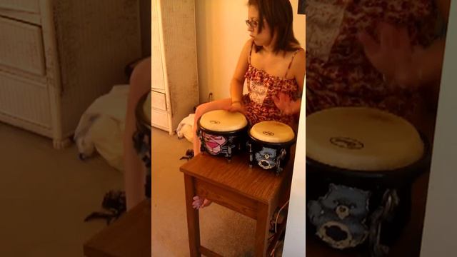 Bongo Fever- Freestyle смотреть онлайн