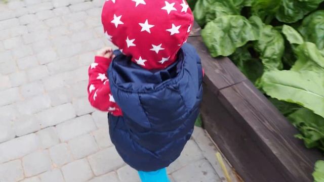 ? Шведский стол в деревне? Поход по ягоды Варенье из вишни и красной смородины Секреты приготовлени смотреть онлайн