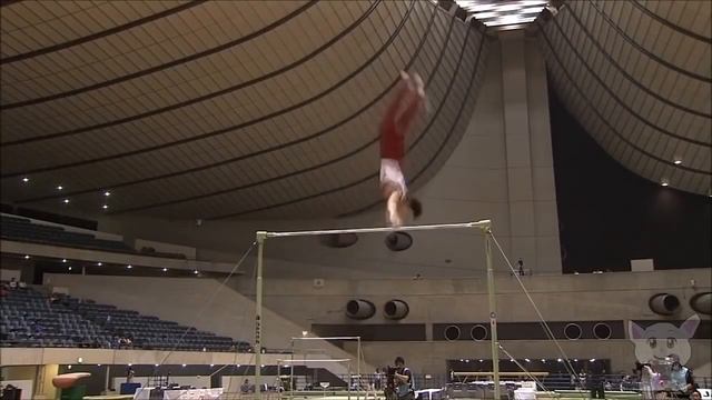 Найскладніші та найкрасивіші елементи у спортивній гімнастиці (Спорт №5) смотреть онлайн