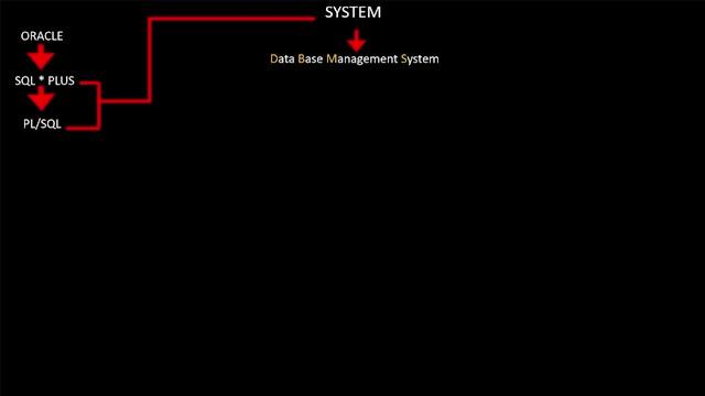 DATA BASE MANAGEMENT BY ORACLE.....||BASIC OF DATA BASE MANAGEMENT смотреть онлайн