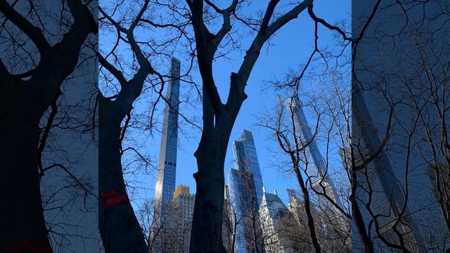 New York Dayz смотреть онлайн