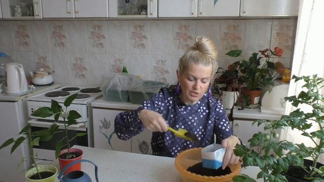 Время сеять укроп на рассаду смотреть онлайн