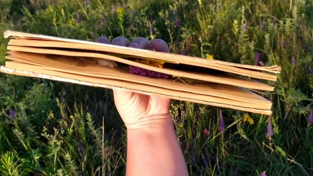 Как сделать стикеры из сухоцветов смотреть онлайн
