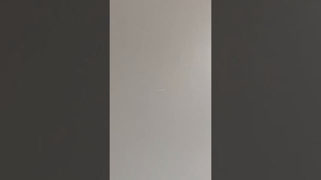 Окрашеный Витрулан (Vitrulan), без шпатлевания, 3и сутки смотреть онлайн