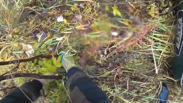 180 days in the wild taiga of Siberia | Hunting and fishing смотреть онлайн
