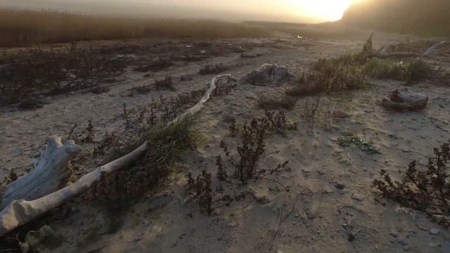 Ищем сокровища в старом заброшенном замке и на дне моря | Замок Лакиера смотреть онлайн