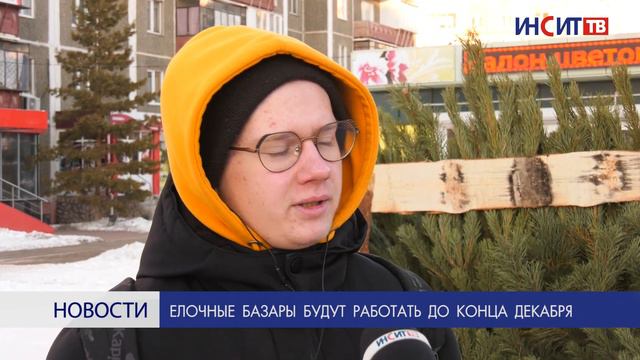Елочные базары будут работать до конца декабря смотреть онлайн