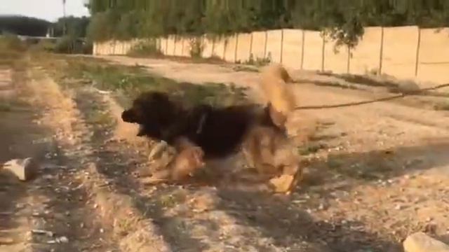 DABAR II iz Aleksandrovoi Slobody смотреть онлайн