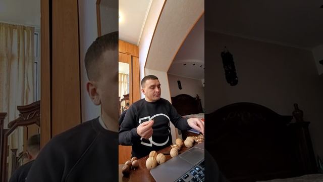 Секретный китайский сорт грецкого ореха Зин-2 и орех пекан, макадамия в Кыргызстане смотреть онлайн