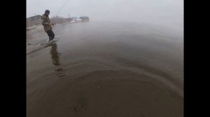 Рыбалка на озере Удомля