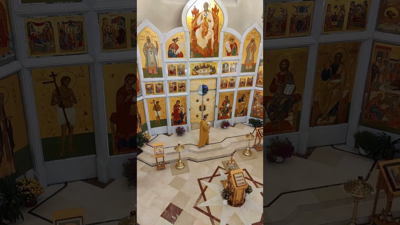 03.11.23 Фрагмент трансляции Божественной Литургии. Память прп Илариона Великого. смотреть онлайн