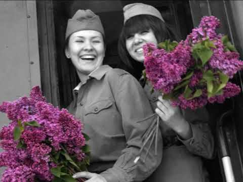 Живая память о войне смотреть онлайн