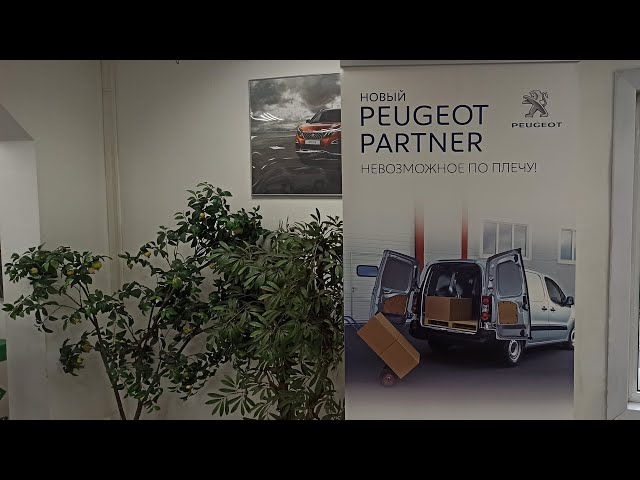 Автомир пежо 14 октября 2021 г. смотреть онлайн