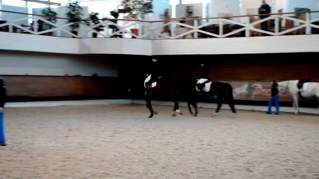 Холидей, "Прадар", разминка смотреть онлайн