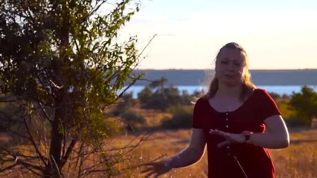 Alexandra Learnbiology: Происхождение жизни. Урок биологии №74