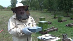 Потолочные ульевые КОРМУШКИ для пчёл. Почему?