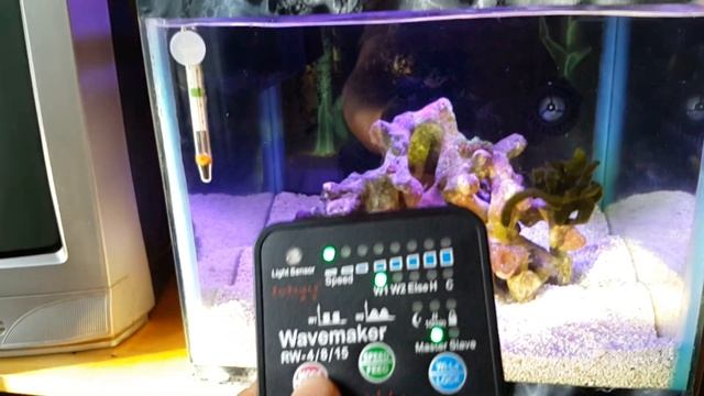 Распаковка-обзор помпы течения Jebao RW4 смотреть онлайн