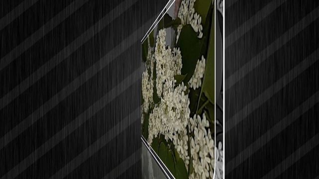 ПАМЯТИ ПОДРУГИ//ПОСВЯЩЕНИЕ НЕБОЖИТЕЛЯМ смотреть онлайн