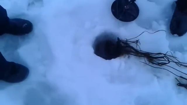 Тянем щуку с пацанами ( маты) смотреть онлайн