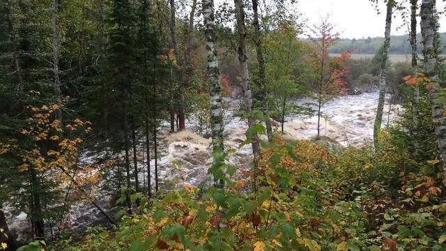 Beaver Dam Collapse смотреть онлайн