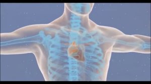 Памяти Георгия Сытина. Внушение на исцеление