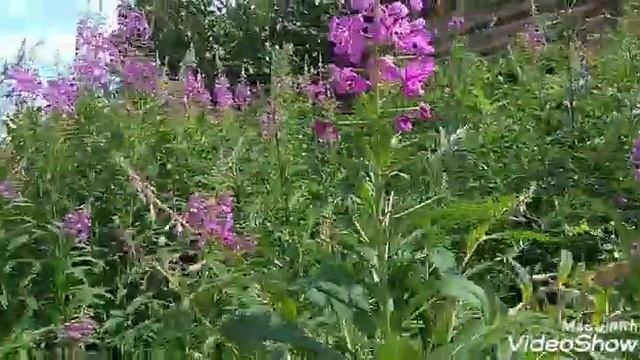 Секреты Творческой Вдохновенности