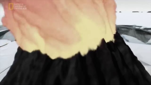 Earth evolution смотреть онлайн