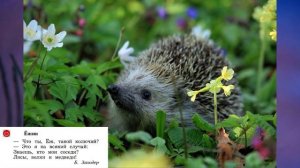 "Лес и его обитатели", Окружающий мир 2 класс ч.2, с.40-80, Школа XXI век.