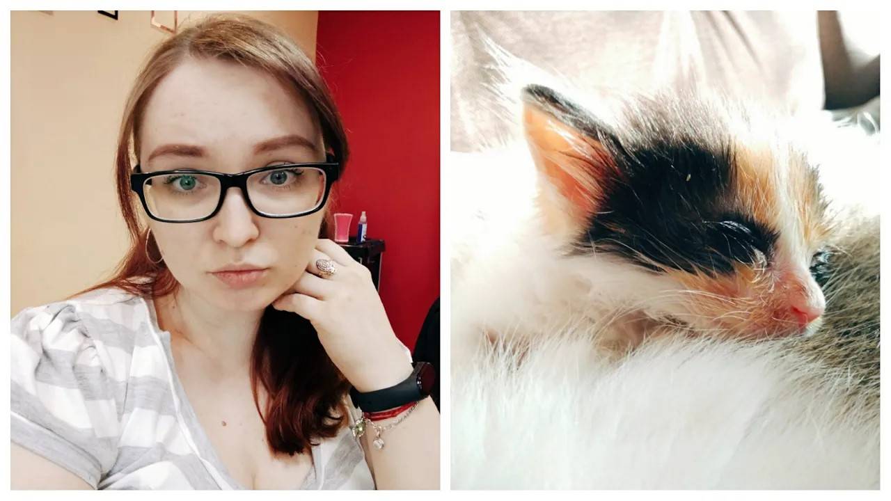 VLOG Осень... Лечим 