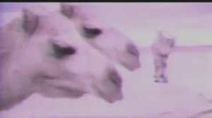 Реклама Picnic. 1993 год.