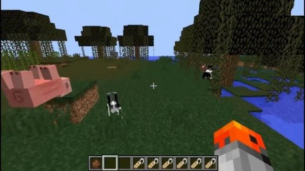 Minecraft - 5 Name Tag Tips & Tricks That You Might Not Know