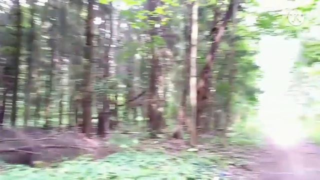 травертин янги дизайн 3д