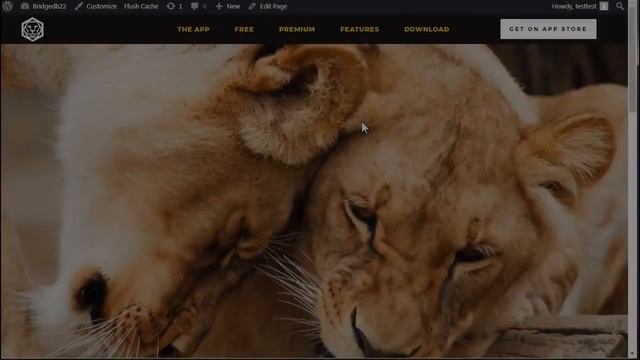 Bridge - Creative Multi-Purpose WordPress Theme ll Envato/Web Themes & Templates смотреть онлайн
