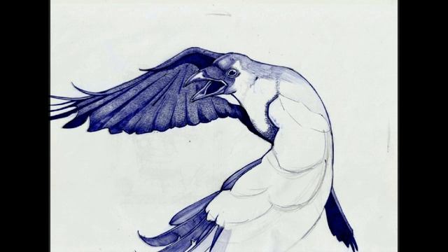 Рисунок шариковой ручкой ворон смотреть онлайн