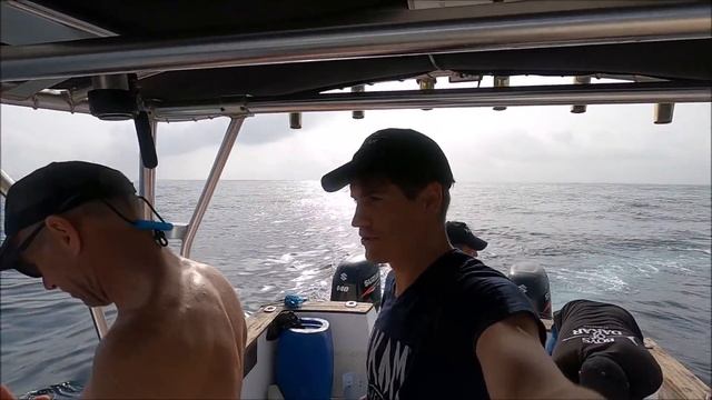 Carpes rouges géantes, Djabar! Or rouge du Sénégal, Chasse sous marine de l'African brown snaper смотреть онлайн