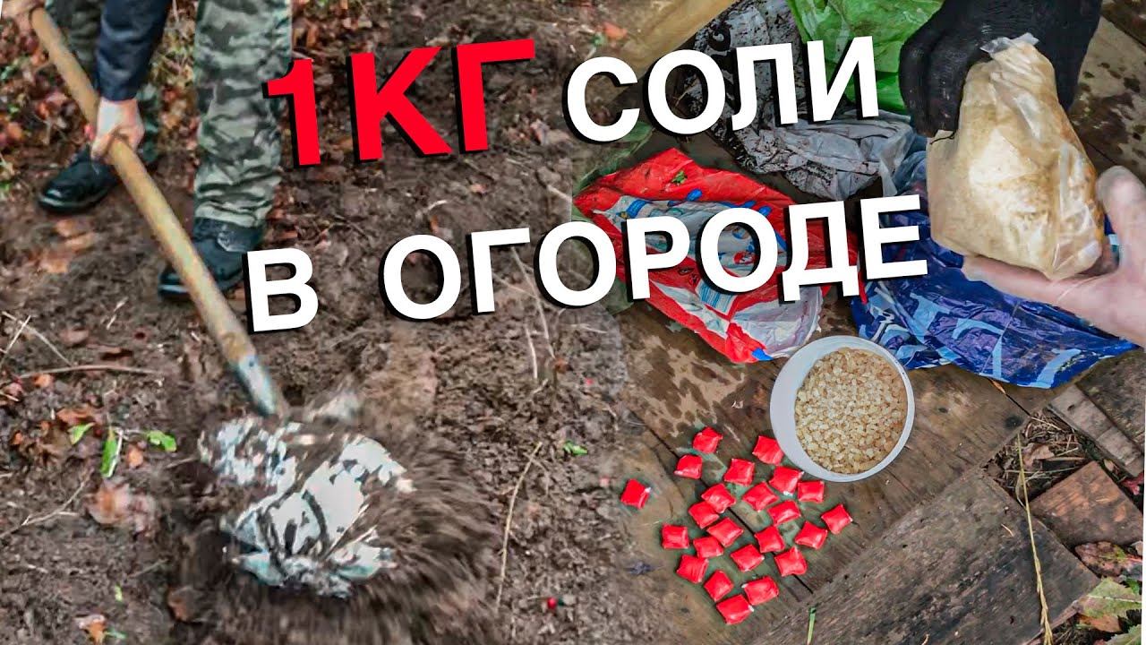 Вызов 02 1кг соли в огороде смотреть онлайн