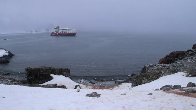 Antarctica Polar Plunge: My Coldest Swim Ever! | Part 5 of 6 ~ Antarctica Expedition смотреть онлайн